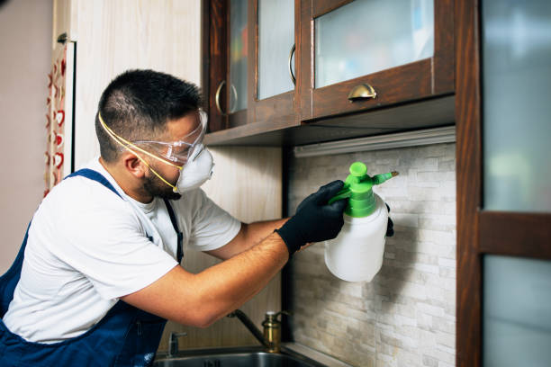Flea Control Services in Campbell, MO