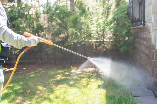 Best Exterminator Services  in Campbell, MO
