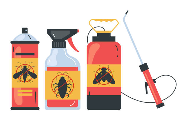 Best Ant Control Services  in Campbell, MO