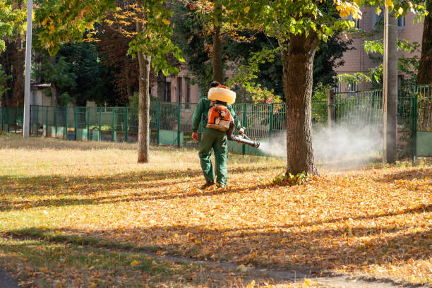  Campbell, MO Pest Control Pros