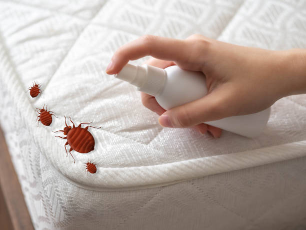 Best Residential Pest Control  in Campbell, MO